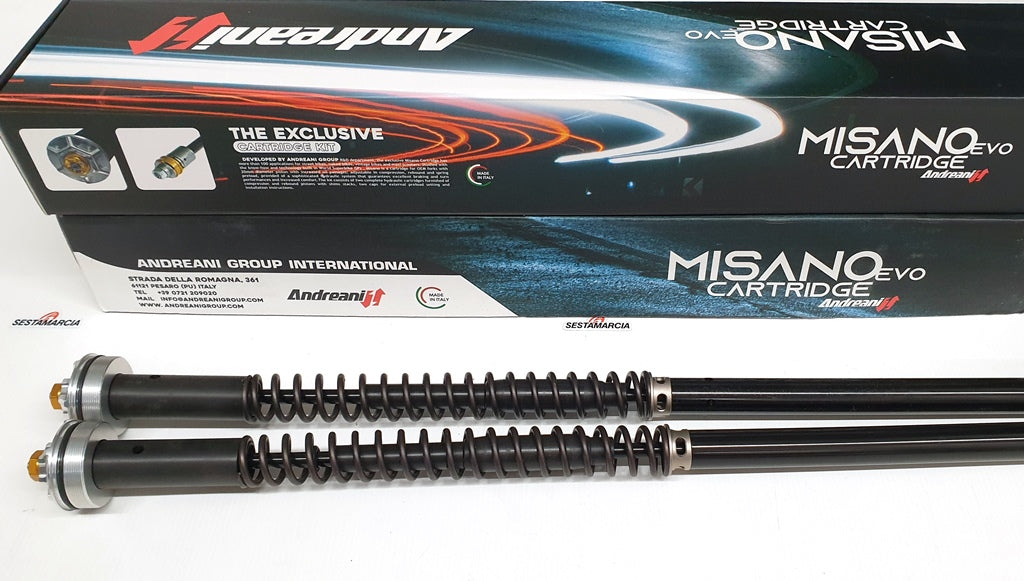 CARTUCCIA IDRAULICA FORCELLA ANDREANI MISANO EVO KAWASAKI VERSYS 650 2010
