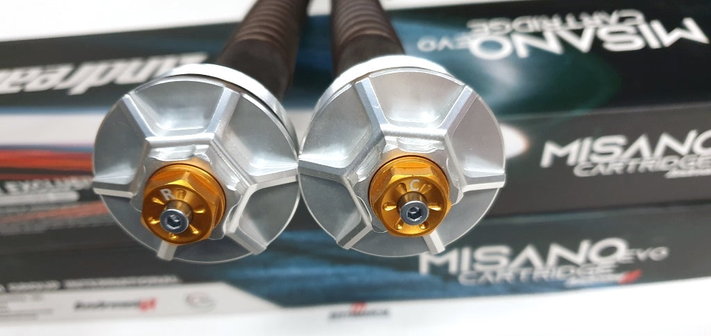 CARTUCCIA IDRAULICA FORCELLA ANDREANI MISANO EVO BENELLI 752 S 2022>