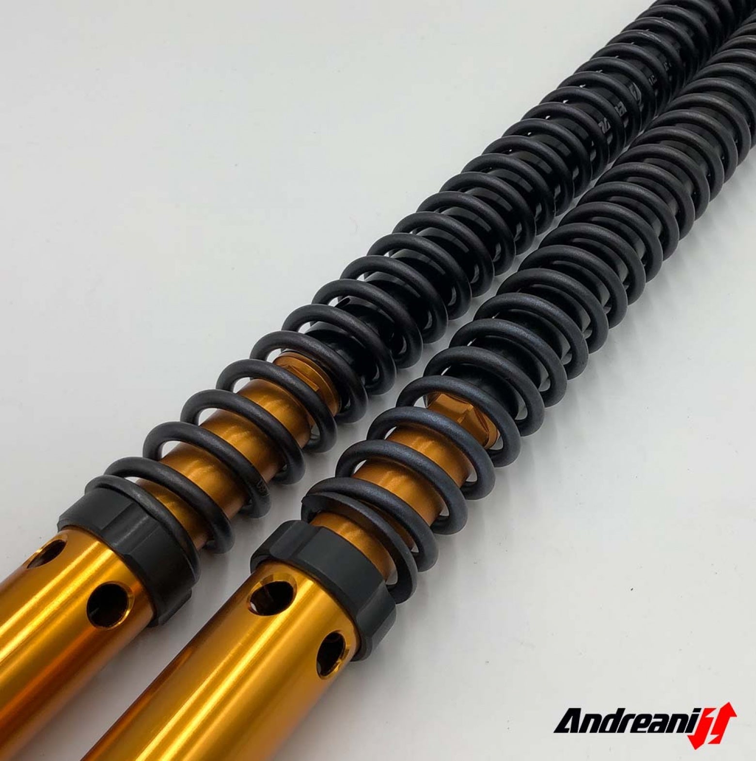 Cartuccia Andreani Rally Race Royal Enfield Himalayan 450 - H. + 30 Mm Showa 43