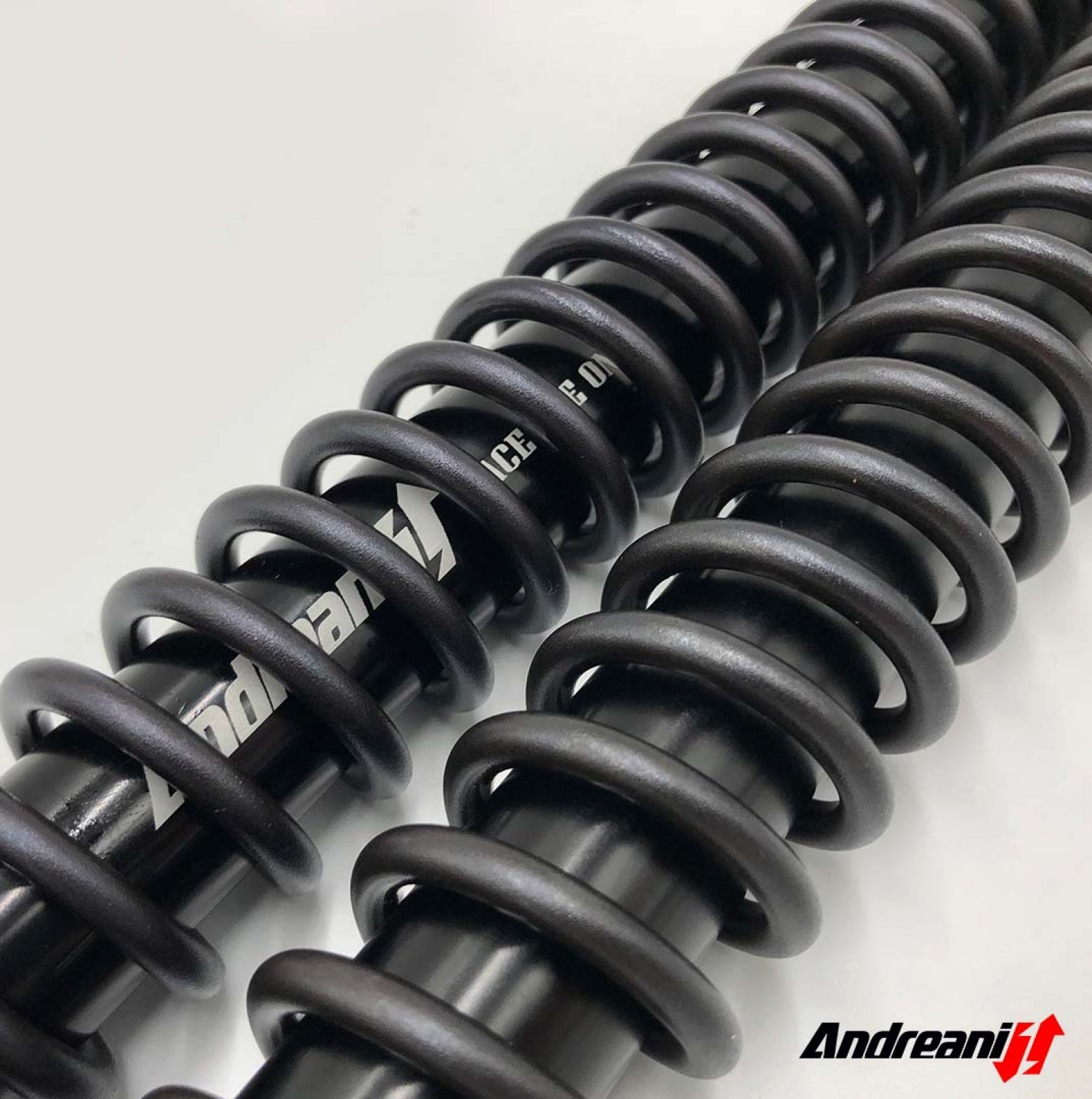 CARTUCCIA FORCELLA ANDREANI RALLY RACE TRIUMPH SCRAMBLER 1200 X - H.+30MM 2025>