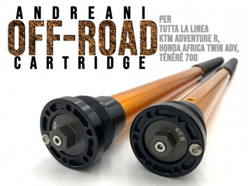 Cartuccia Forcella Andreani Rally Race Royal Enfield Himalayan 450 Showa 43