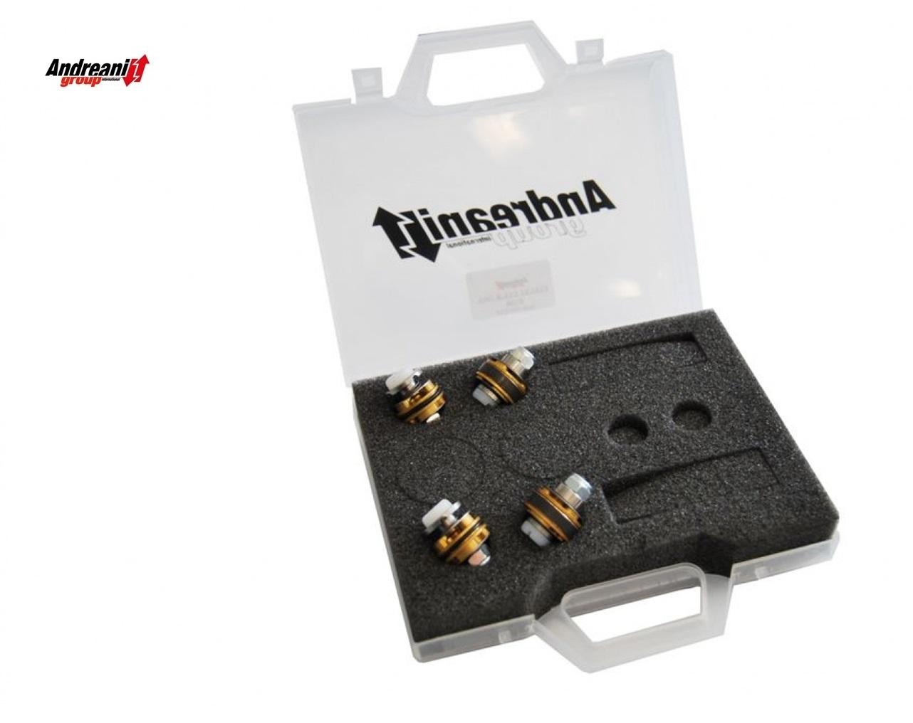 Kit pompanti pistoni forcella Andreani Ducati 848 Showa 2002 - 09