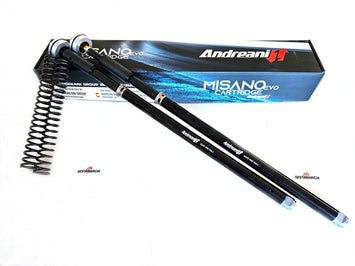 Cartuccia Forcella Andreani Misano Evo2 Kawasaki Z 800 2013-16 Kayaba 41