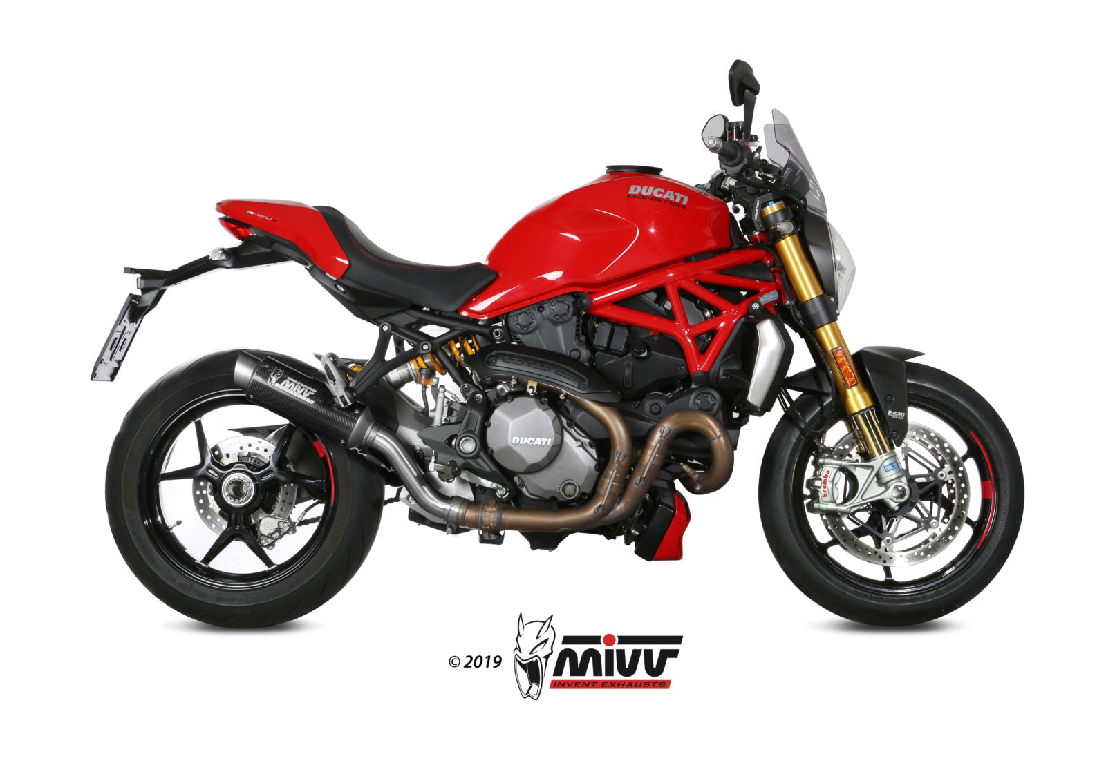 TERMINALE DI SCARICO IN CARBONIO MIVV GPPRO DUCATI MONSTER 821 2018 - 2020