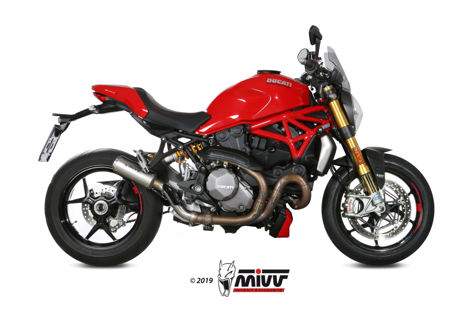 CARTER PARACALORE IN CARBONIO MIVV DUCATI MONSTER 1200 2017 - 2021