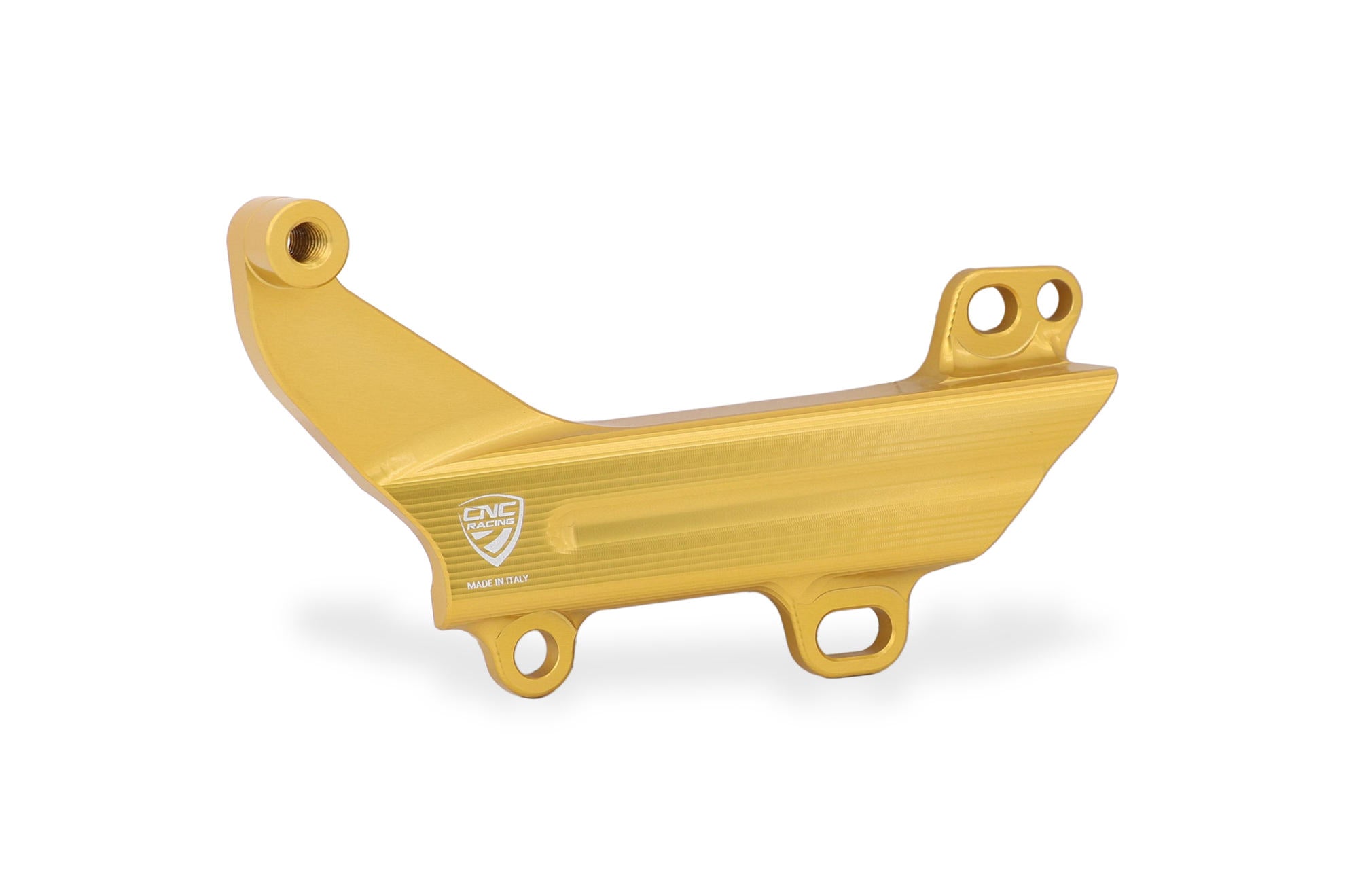 COVER TUBAZIONI NERO + SUPPORTO SERBATOIO FRENO POSTERIORE DUCATI PANIGALE V4