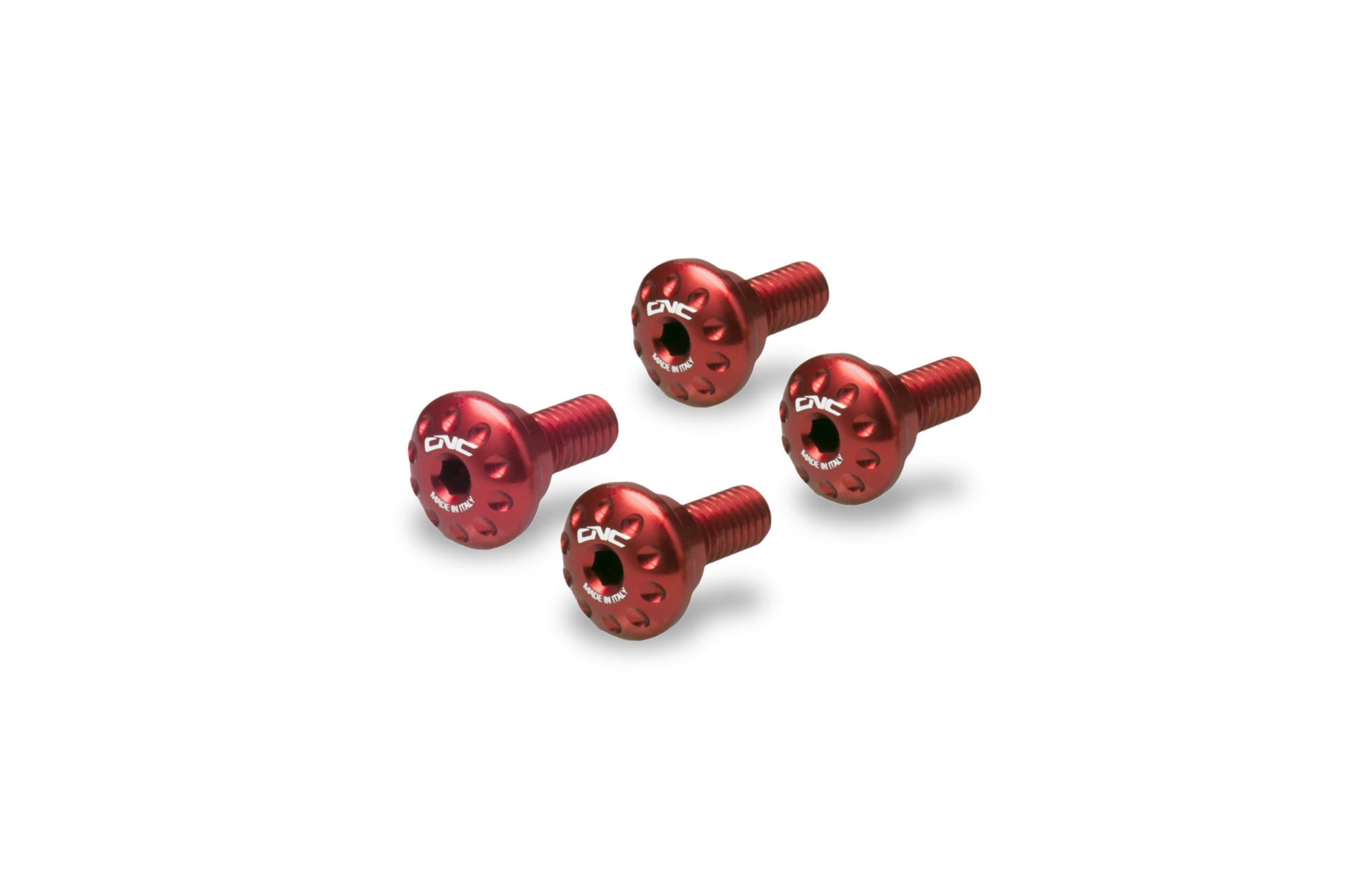 VITI PARASTELI FORCELLA CNC RACING DUCATI SCRAMBLER 800 ICON