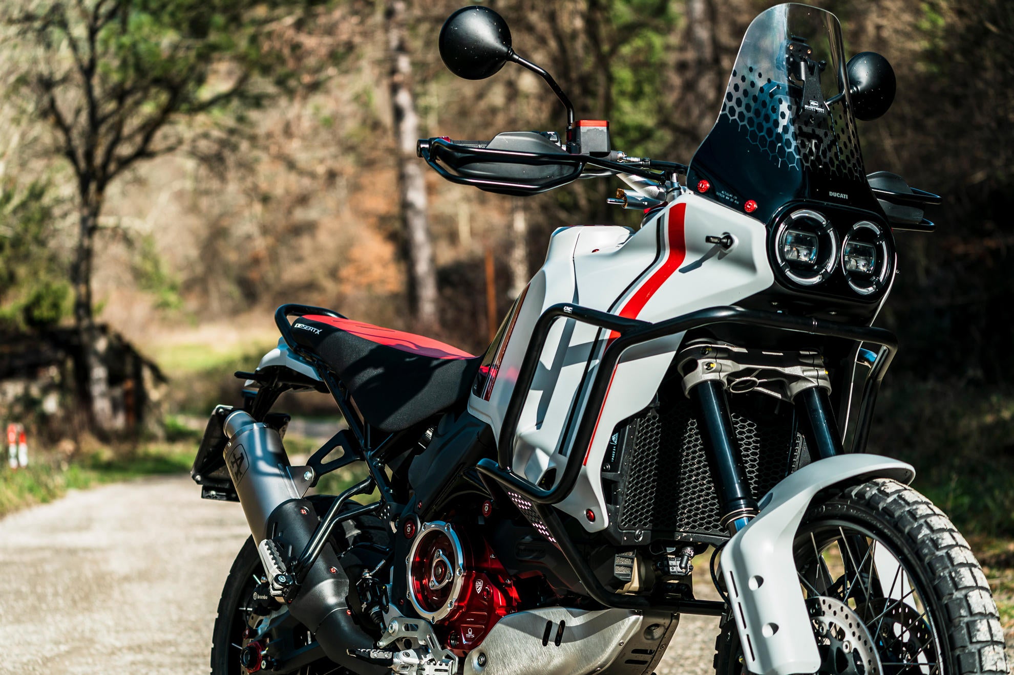 PARAMOTORE IN TUBI DI ACCIAIO CNC RACING DUCATI DESERTX 937