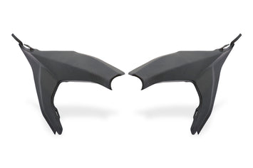 Cover Telaietto Posteriore Carbonio Opaco Ducati Streetfighter V2 2022-24
