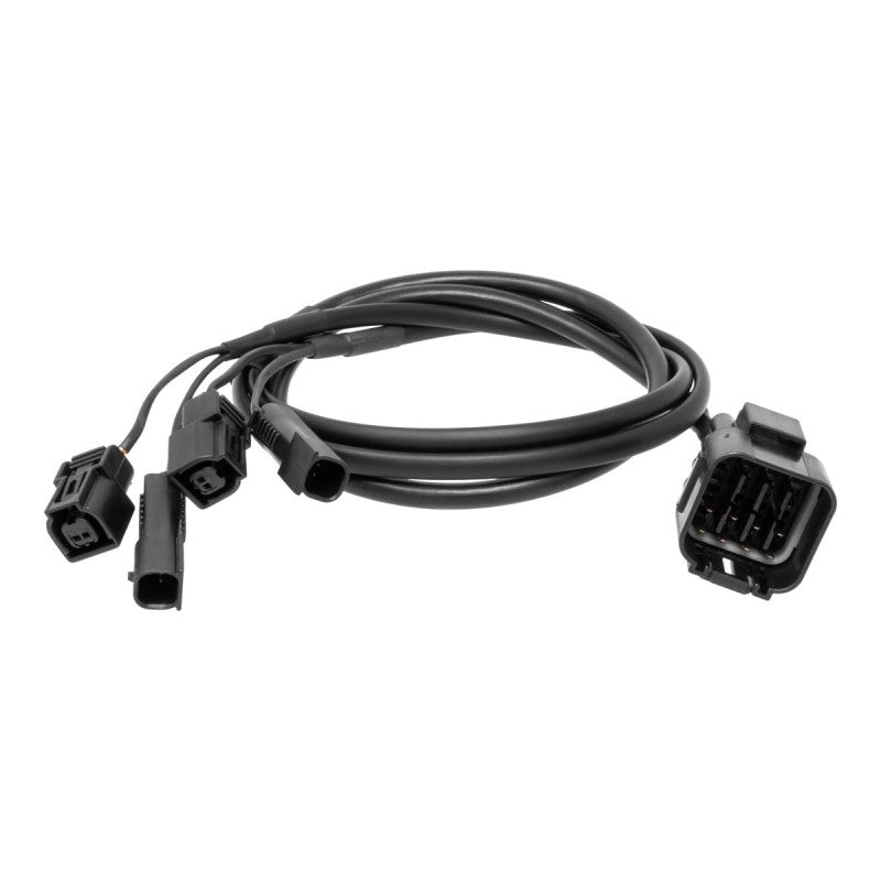 Cablaggio Moto Jetprime Centralina Jetprime - Cbla 002K Nero