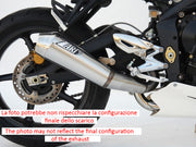 EXHAUST ZARD STEEL CONICAL RACING TRIUMPH STREET TRIPLE 675 2007-12