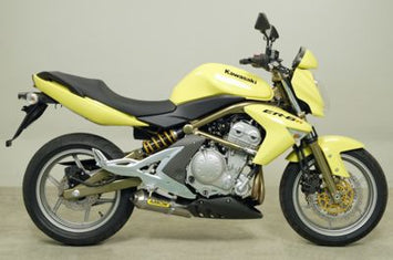 TERMINALE ARROW MAXI RACE-TECH OMOLOGATO ALLUMINIO KAWASAKI ER-6N 2005-11