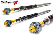 ANDREANI FORK HYDRAULIC CARTRIDGE SUZUKI GSX 1200 INAZUMA 2001 - 09