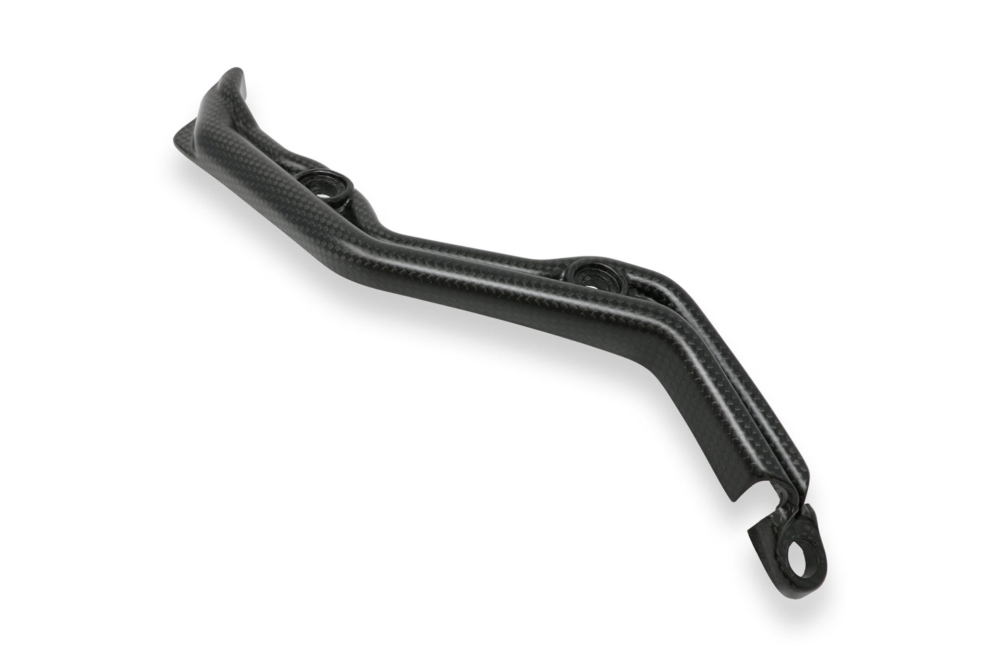 SWINGARM WIRE COVER CARBON MATT DUCATI SUPERBIKE 1199 PANIGALE / S / R