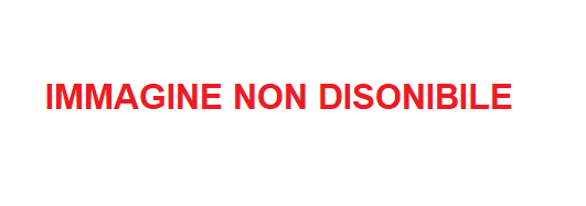 COLLETTORE ATTACCO TESTE ACCIAIO INOX X SCARICO D200 DUCATI STREETFIGHTER V4 18>