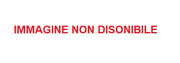 COLLETTORE ATTACCO TESTE ACCIAIO INOX X SCARICO D200 DUCATI PANIGALE V4 2018>