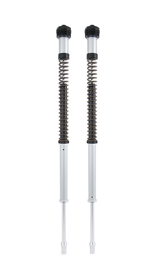 CARTUCCE FORCELLA OHLINS HARLEY-DAVIDSON FXD DYNA 2006-17