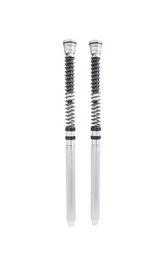 CARTUCCIA FORCELLA OHLINS TTX DUCATI V4 R PANIGALE (FORK OHLINS FL 954) 2019-21