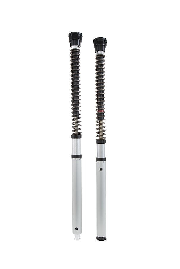 CARTUCCIA IDRAULICA FORCELLA NIX 22 OHLINS TRIUMPH STREET CUP 2018