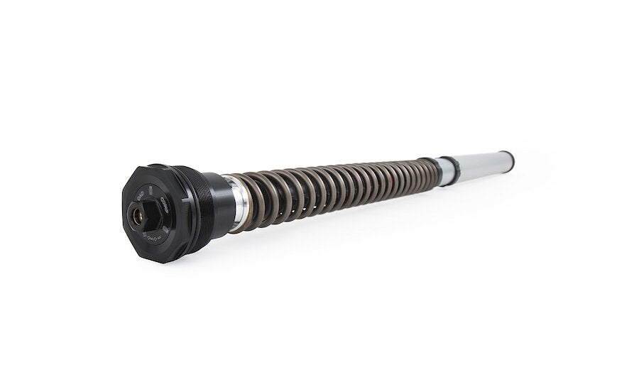 CARTUCCIA IDRAULICA FORCELLA NIX 22 OHLINS TRIUMPH STREET CUP 2018