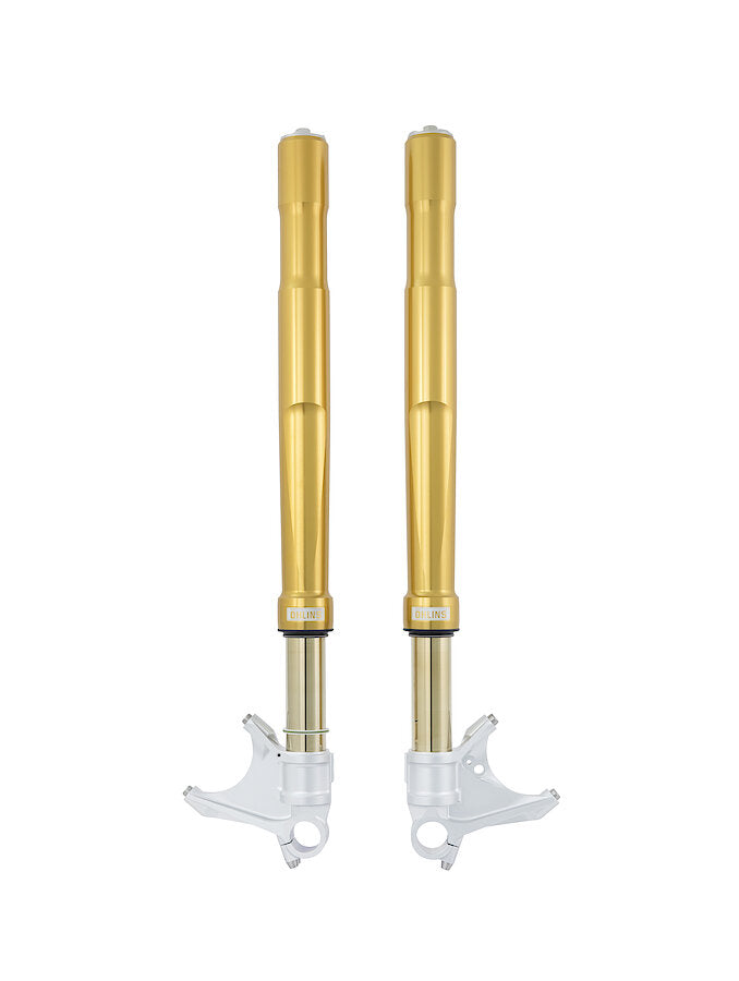 FORCELLA COMPLETA OHLINS R&T FODERO ORO DUCATI 1199 PANIGALE 2012-14