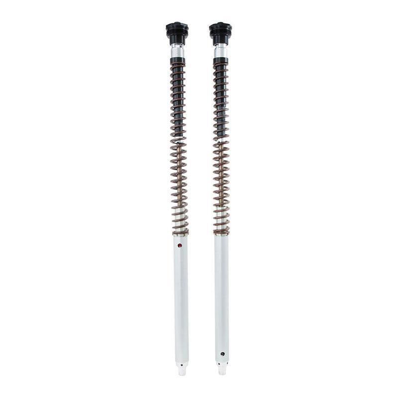 Öhlins FKS 233 – kit di due cartucce
