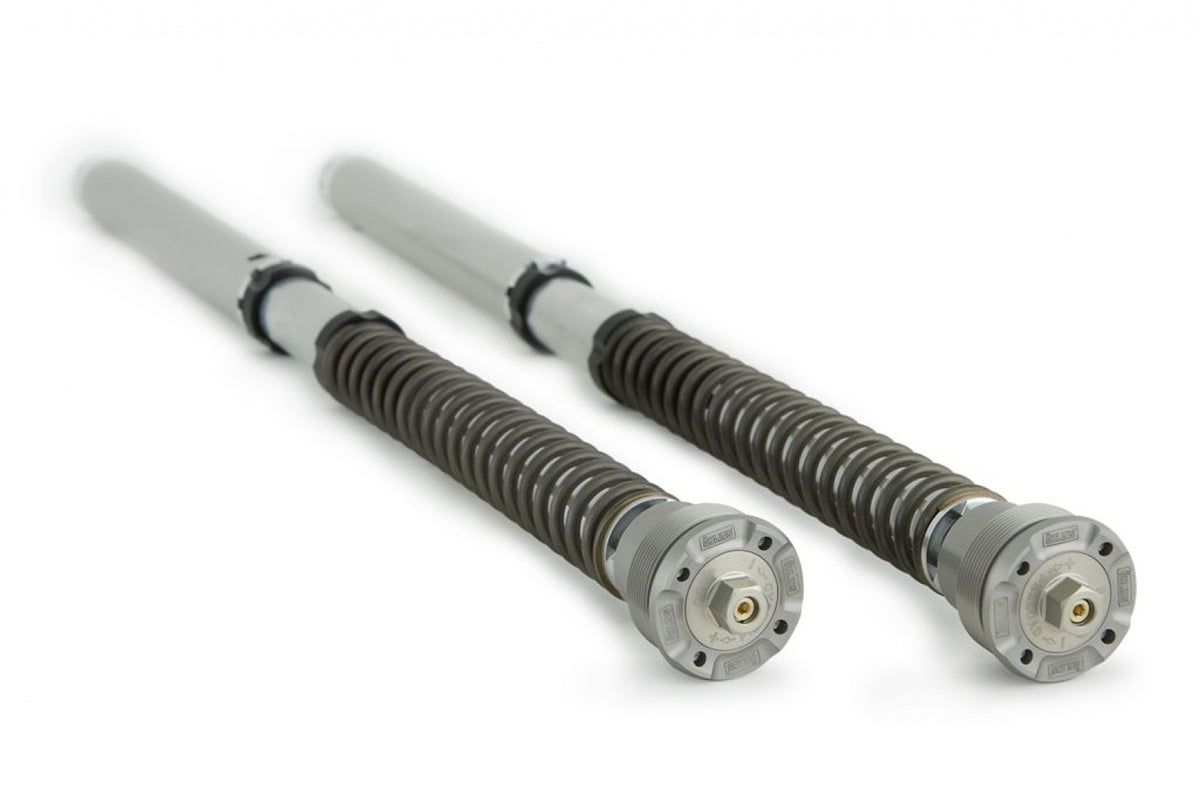 Öhlins — foto del catalogo ufficiale Andreani