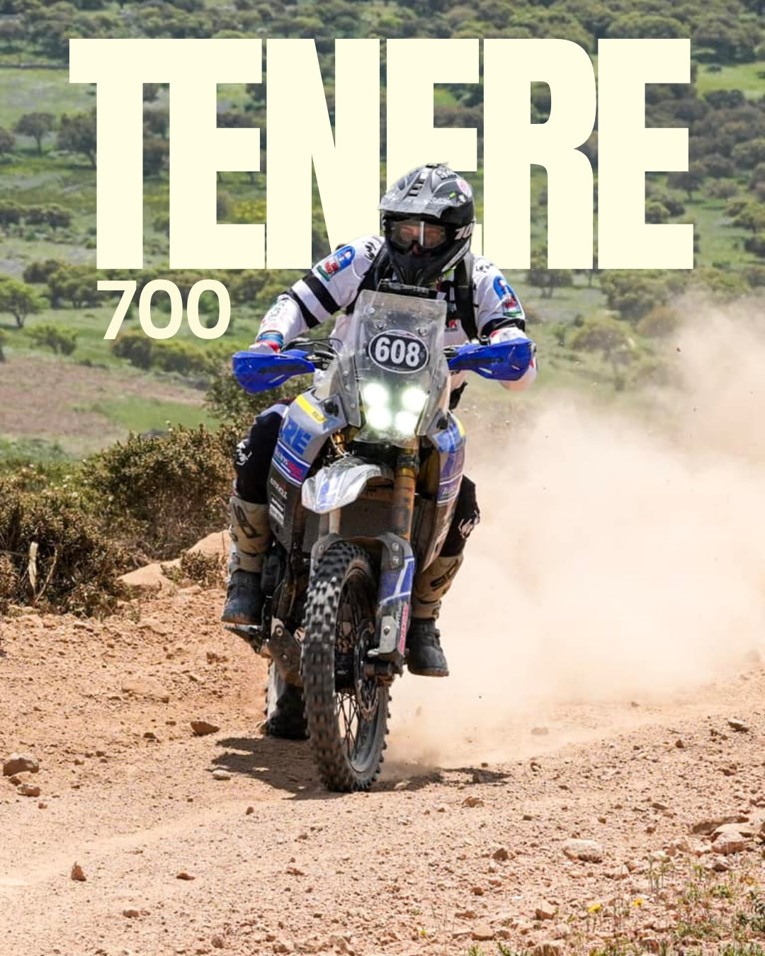 Öhlins — foto del catalogo ufficiale Andreani