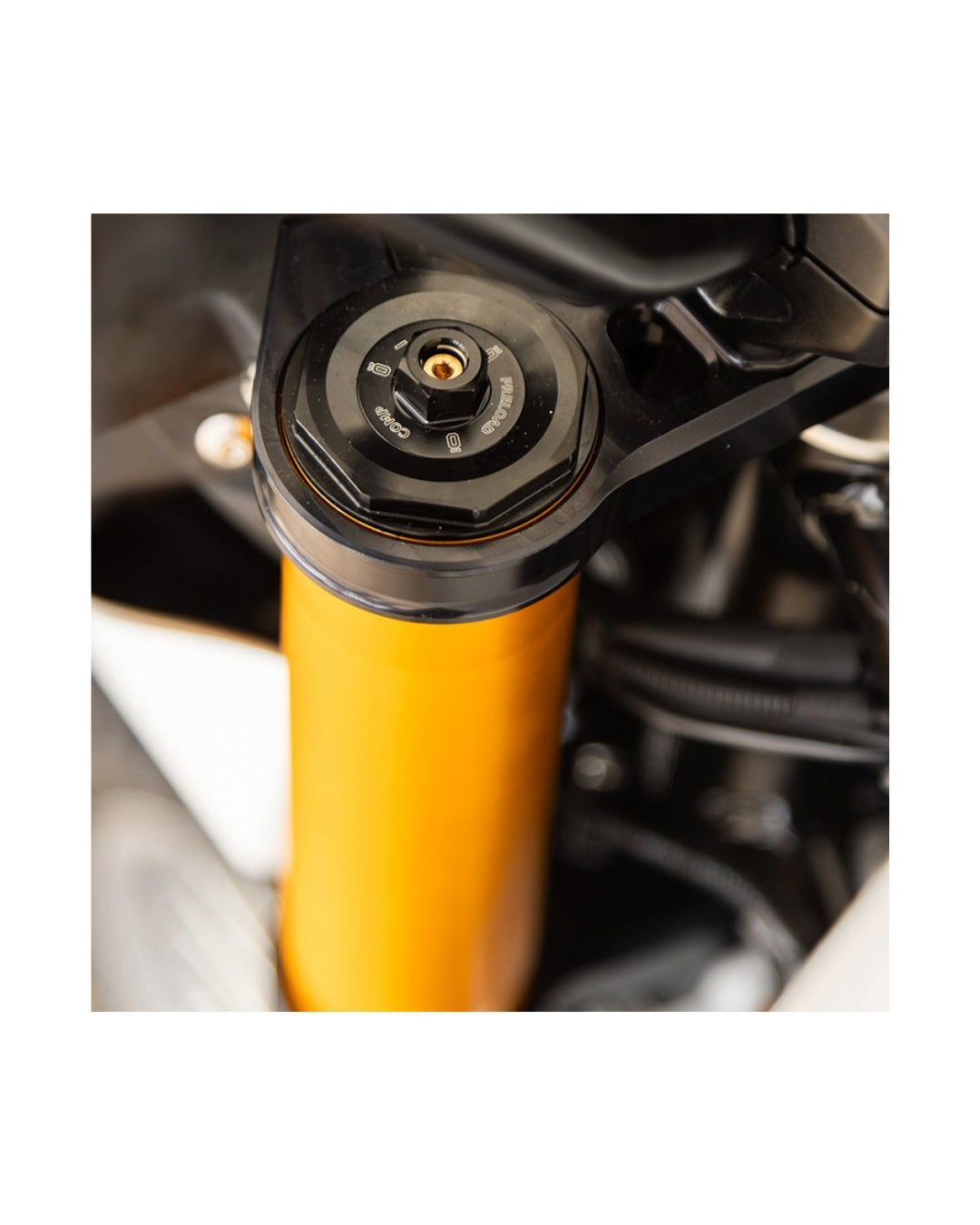 Öhlins — foto del catalogo ufficiale Andreani
