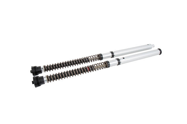 Öhlins — foto del catalogo ufficiale Andreani