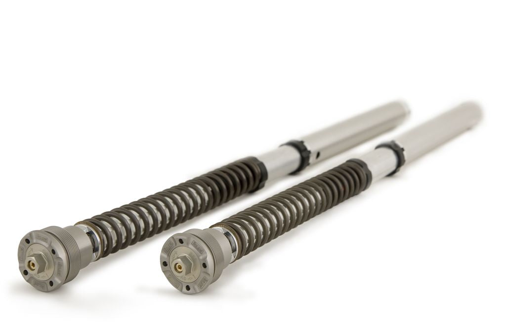Öhlins — foto del catalogo ufficiale Andreani
