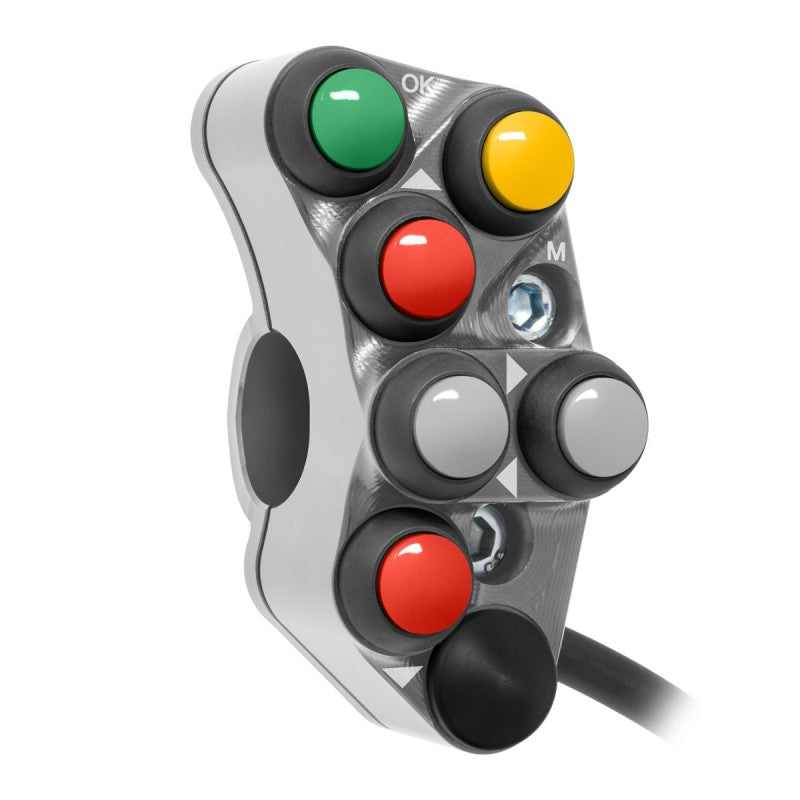 PULSANTIERA SINISTRA RACING JETPRIME TRIUMPH STREET TRIPLE 765 R 2023-24 TITANIO