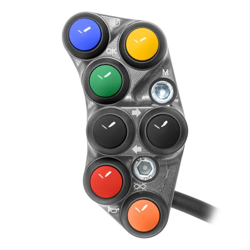 PULSANTIERA SX STRADALE JETPRIME TRIUMPH STREET TRIPLE 765 R 2023-24 TITANIO